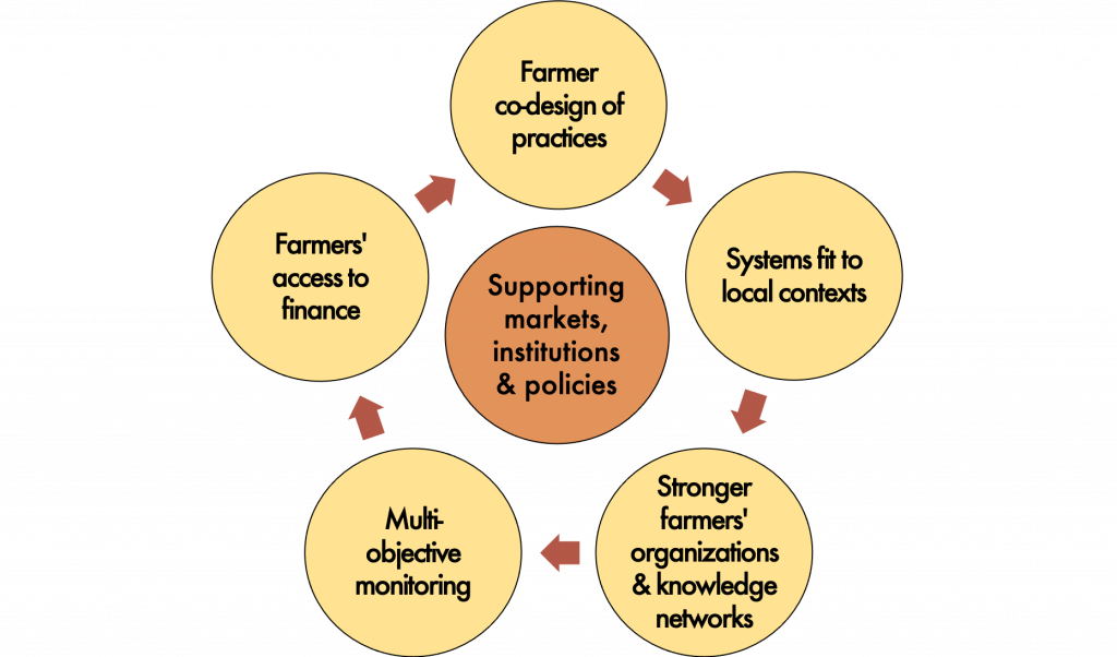 agroecology-a-key-piece-to-climate-adaptation-mitigation